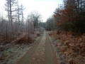 1_DSCN6788