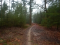 1_DSCN6823