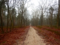 1_DSCN6824
