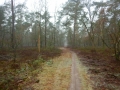 1_DSCN6825