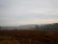 1_DSCN6826