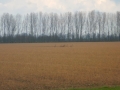 DSCN4787