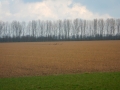 DSCN4788