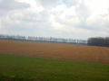 DSCN4789