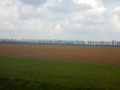 DSCN4790