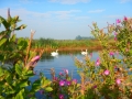 DSCN3695