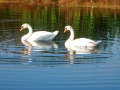 DSCN3698