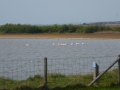 DSCN4847