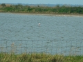 DSCN4849
