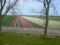 DSCN4855