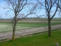 DSCN4856