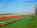 DSCN4857