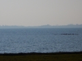 DSCN4104