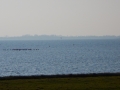 DSCN4105