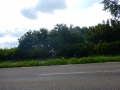 DSCN5360