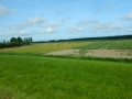 DSCN5362