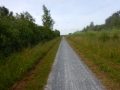 DSCN5373