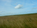 DSCN5376