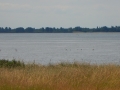 DSCN5381