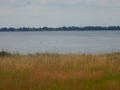 DSCN5382