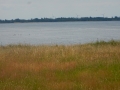 DSCN5383