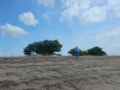 DSCN5387