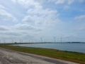 DSCN5391