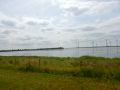 DSCN5394