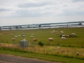 DSCN5396