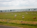 DSCN5397