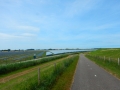 DSCN5412