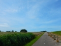 DSCN5413