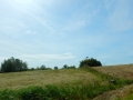 DSCN5414