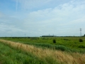 DSCN5416
