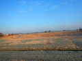 DSCN4144