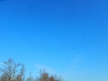 DSCN4155