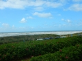 DSCN5331