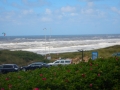 DSCN5332