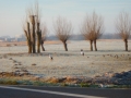 DSCN4260