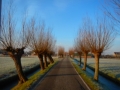 DSCN4574