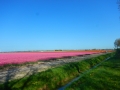 DSCN4876