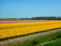 DSCN4877