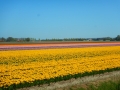 DSCN4878