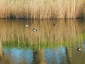 DSCN4860