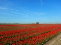 DSCN4865