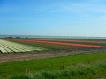 DSCN4866