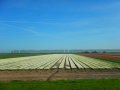 DSCN4867