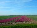 DSCN4868