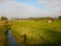 DSCN3683