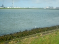 DSCN4843